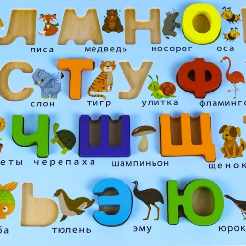 Вкладыш "Деревянная азбука" во Бобров фото 2
